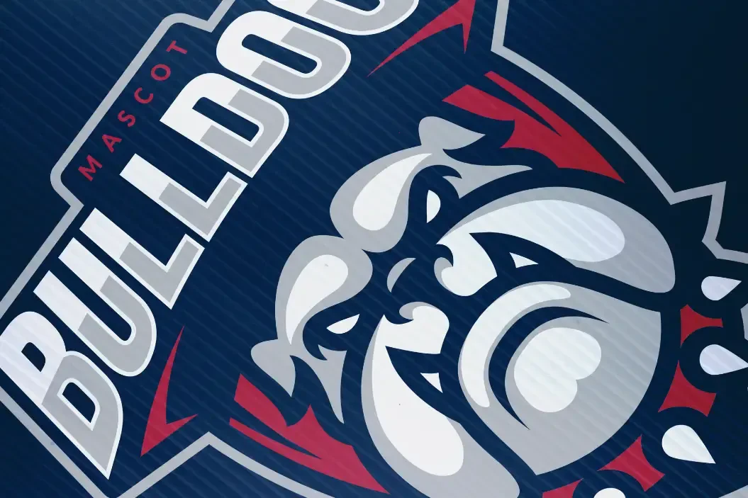 Bulldog graphic