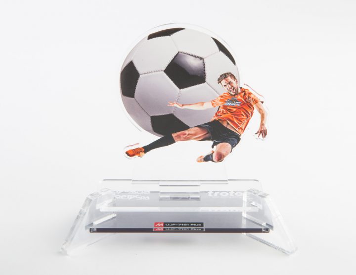 trofeos y premios impresos personalizados