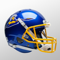 Football helmets with custom printed logo