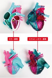 3D Print of Heart with Transparent Filament